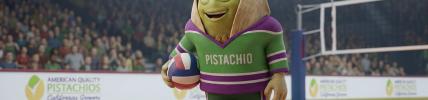 VOLLEYBALL